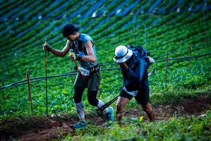 BIB: 
                            <button type="button" onclick="openModal(19160036)" class="btn btn-primary btn-sm float-right btn-popup" data-toggle="modal" data-target=".modal-high-quality">
                        <i class="fas fa-shopping-cart"></i> Add to Cart
                    </button>
                                            <button type="button" onclick="isThisMe(19160036, true)" class="btn btn-success btn-sm float-right btn-popup btn-isme hidden" data-toggle="tooltip" data-placement="bottom" title="นี่คือรูปของคุณใช่ไหม คลิกที่นี่เพื่อเอาเข้าอัลบั้ม">
                        <i class="fas fa-plus"></i> Add to album
                    </button>
                    <button type="button" onclick="isThisMe(19160036, false)" class="btn btn-warning btn-sm float-right btn-popup btn-isnotme hidden">
                        <i class="fas fa-ban"></i> Remove from album
                    </button>